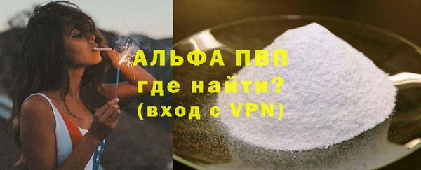 прущие грибы Беломорск