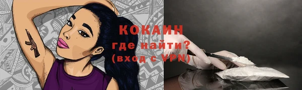 прущие грибы Сясьстрой