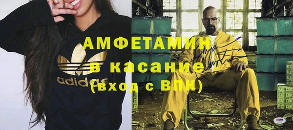 прущие грибы Беломорск