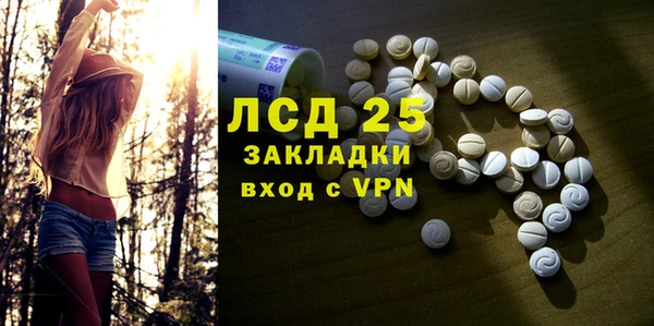прущие грибы Беломорск