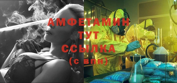 прущие грибы Беломорск