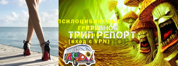прущие грибы Беломорск