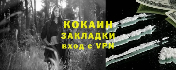 прущие грибы Беломорск