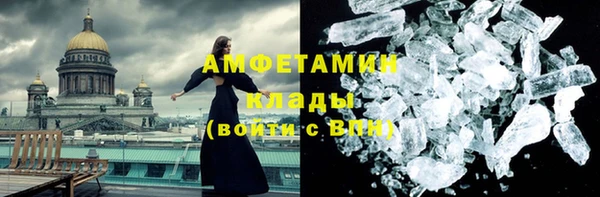 прущие грибы Беломорск