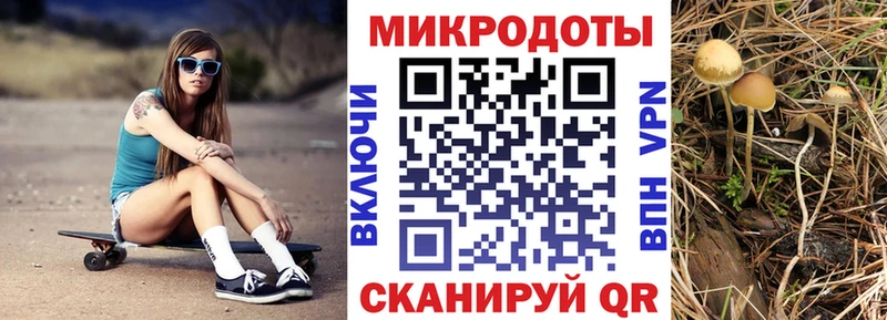 omg маркетплейс Коммунар Галлюциногенные грибы MAGIC MUSHROOMS